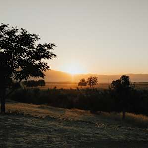 wake up early for the sunrise! you won't regret it.