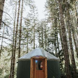 Yurt!