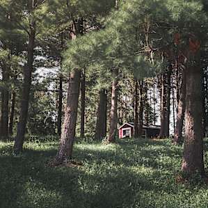 View of The Love Shack from near the pond.
