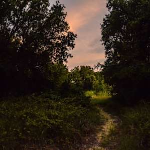 Hiking behind our campsite!