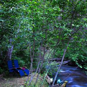 Rabbit O'brien Tent Site