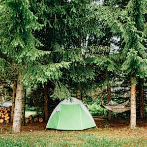 So cozy! Stayed pretty dry during the rain camping under these trees!