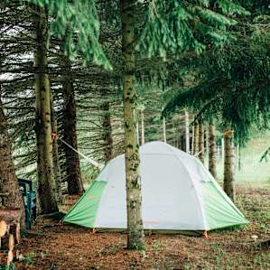 tent forest lodging