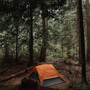 Full tent rentals available too!