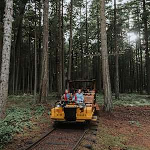 Here comes the train!