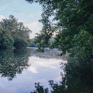 water