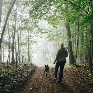 misty morning walks
