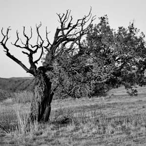 I quote Ansel Adams, "In Gods Country."