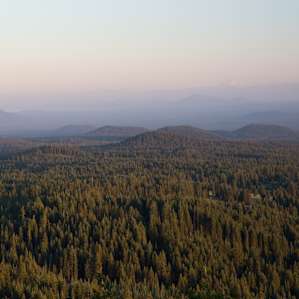 Are these drumlins? Geomorph junkies will have a field day up here. Possibly literally.