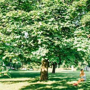 swing under this huge tree next to the main house