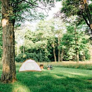 tent forest lodging