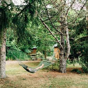 cabin forest picnic table