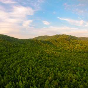 The rolling hills of the Blue Ridge Mountains surround Tent Camping in the Pines.