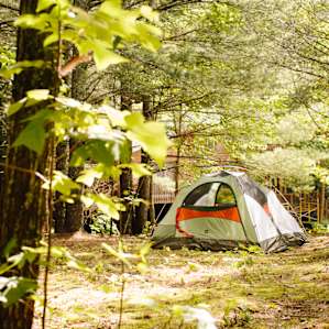 Trying to decide where to site the tent. In the background is camp host Lee's "Dawg House." Ask for a tour...you won't regret it.