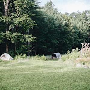 tent forest lodging