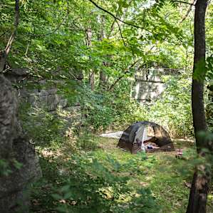 Baby Bears Camp