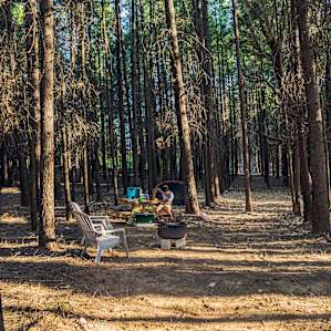 Overview of campsite 2