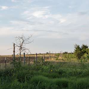 The backside of the land.