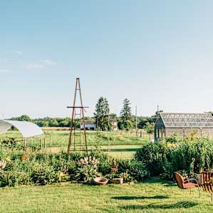 view of the garden from the main deck