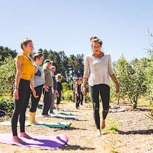 Yoga is held on Saturdays from 11-12 on the Farm! It is not to be missed!