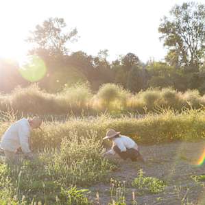 We returned to the farm to find Jeff and Danielle weeding.