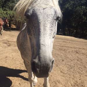 Casper <3