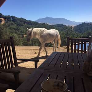 Casper came to visit us at breakfast...