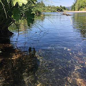 Journey on the river