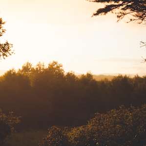 Sunrise from the front porch!