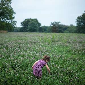 Playing in the clover patch.