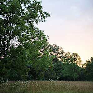 Star Field Campground