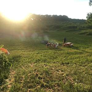 a sunny summer evening at the farm