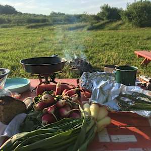 dinner prep with some groceries bought at a local farmers market