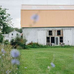 Fuzzy Bear Farm