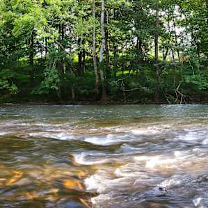 Creeper Trail TENT Camping