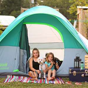 tent people dog