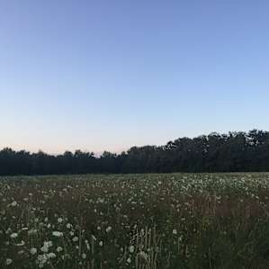 The Camp @ Big Head Farm