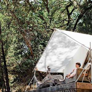 forest people lodging
