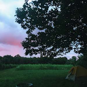 The Camp @ Big Head Farm