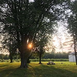 The Camp @ Big Head Farm