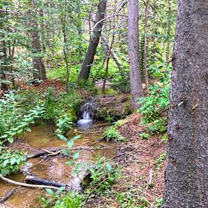 Lovely mini waterfall for relaxing white noise better than any machine could make!