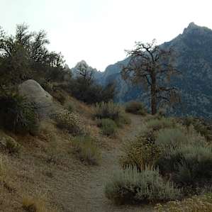 Trail on the crest behind campground.