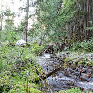View of Camp spot #2 down the creek