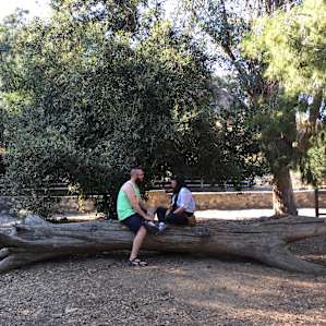 Arroyo Campground