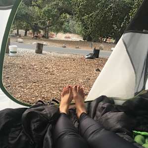 Morning view from the tent.