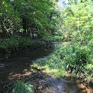 Site 1