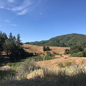 Sunrise Camp