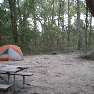 camping at Carolina Beach State Park was a peaceful easy way to fall asleep - the trail leads directly to the water - very nice!