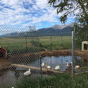 Historic Ranch at Mt. Princeton