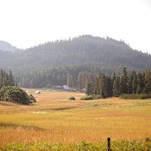 The view of the farm from a trail by the wall tents.